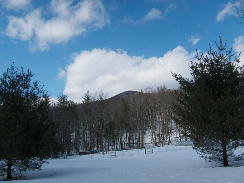 Back to the Mountain