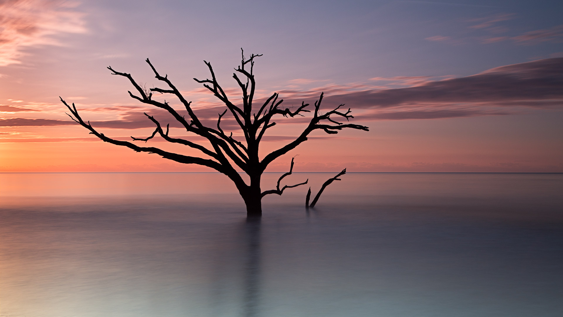 A Typical Daydream&nbsp; (Edisto Island, SC)