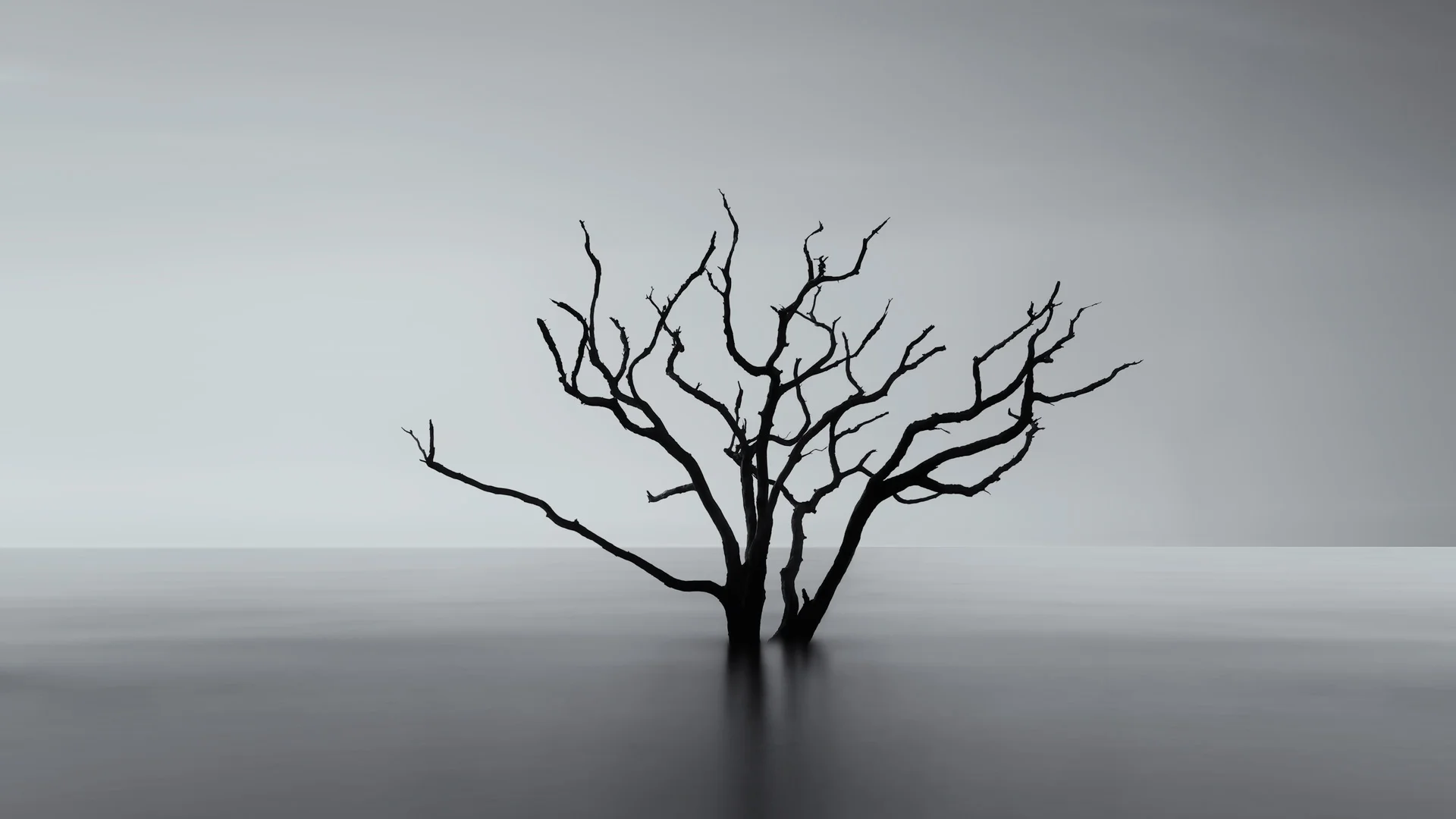 Crazy Fingers (Edisto Island, SC)