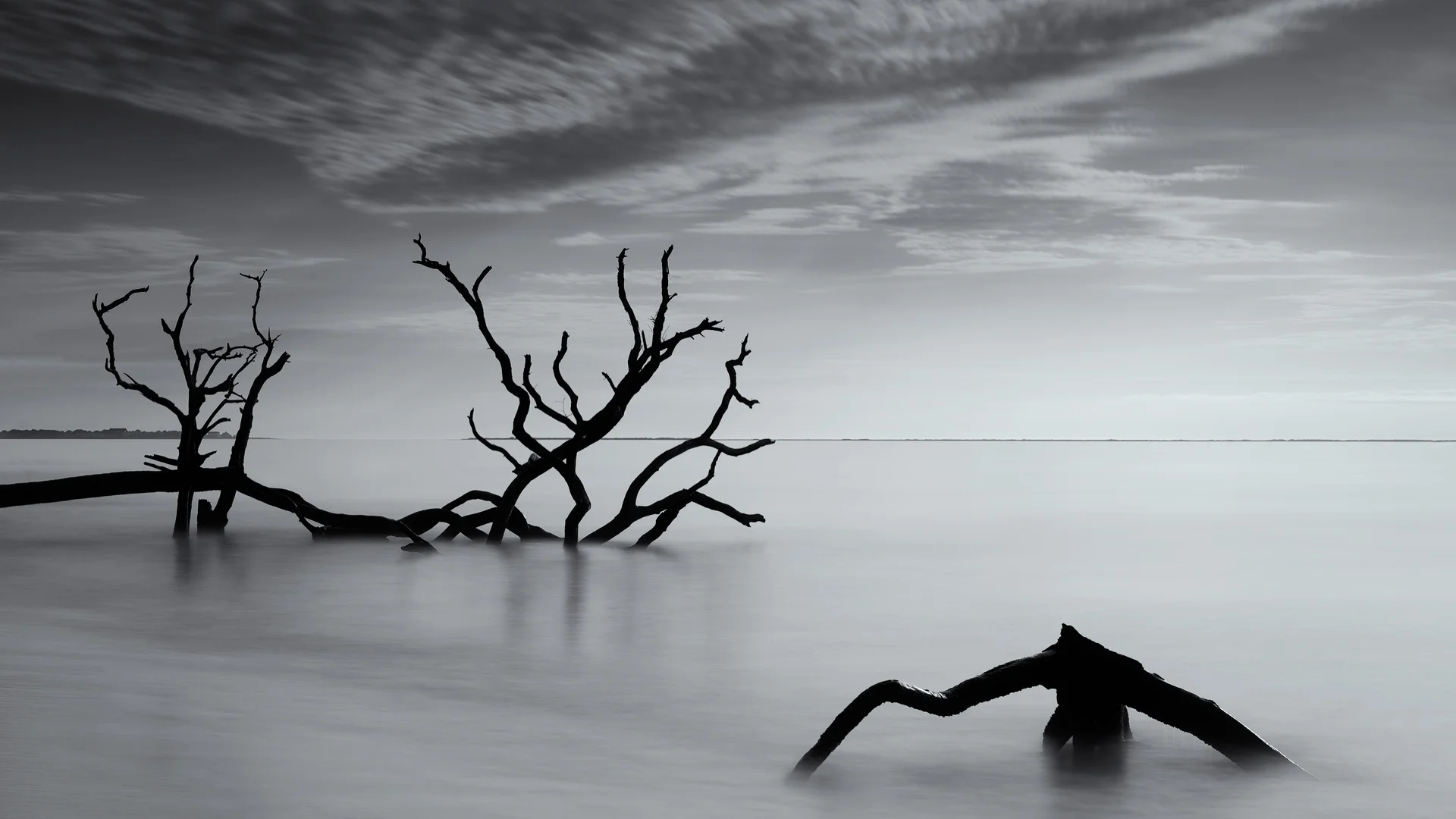 Friend of the Devil (Edisto Island, SC)