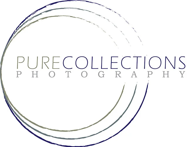 collections_logo_web.jpg