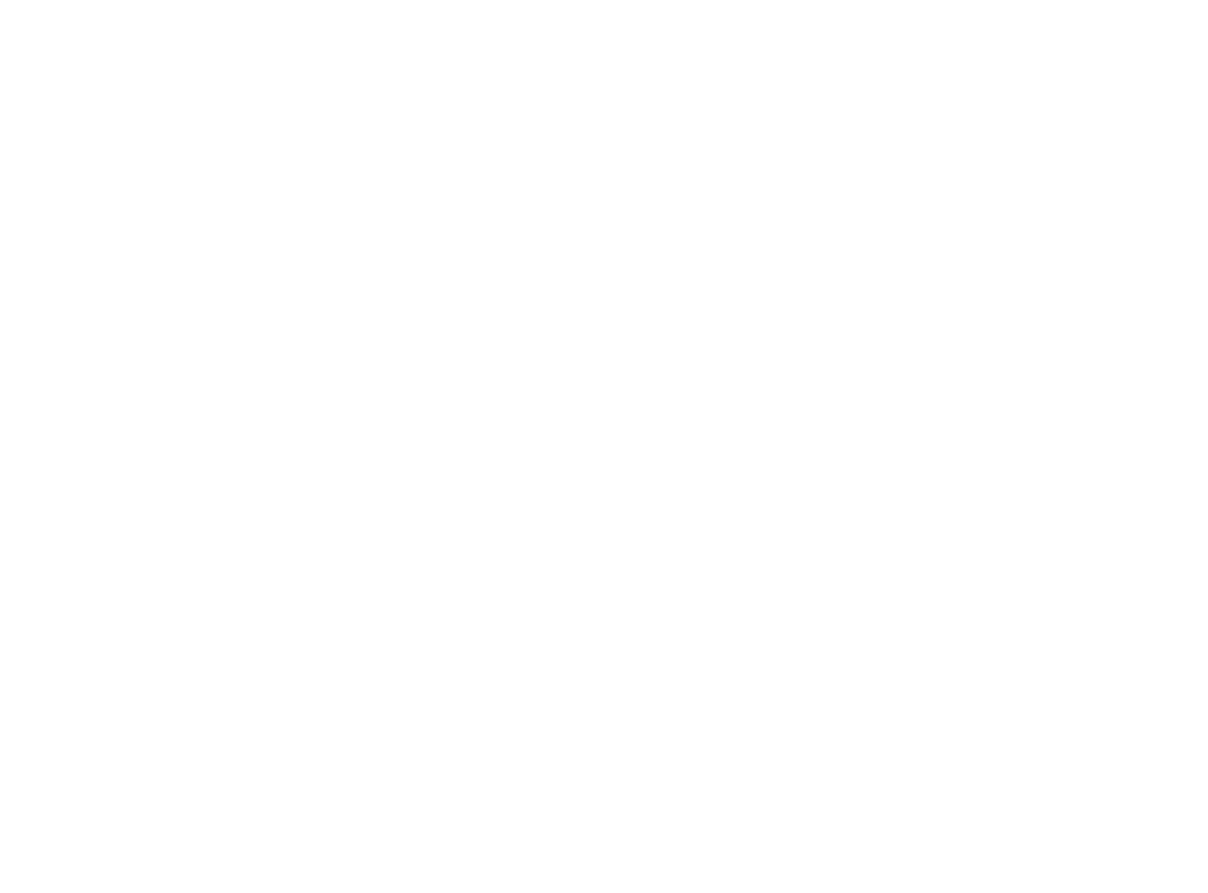 Spork