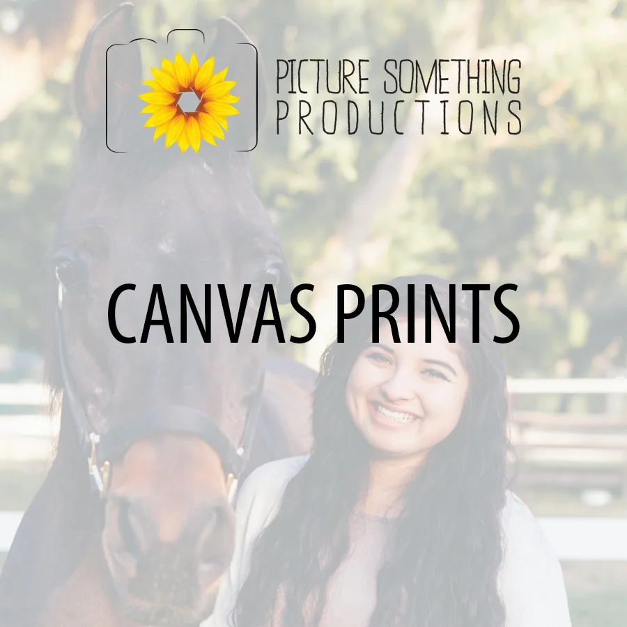 CANVAS.jpg