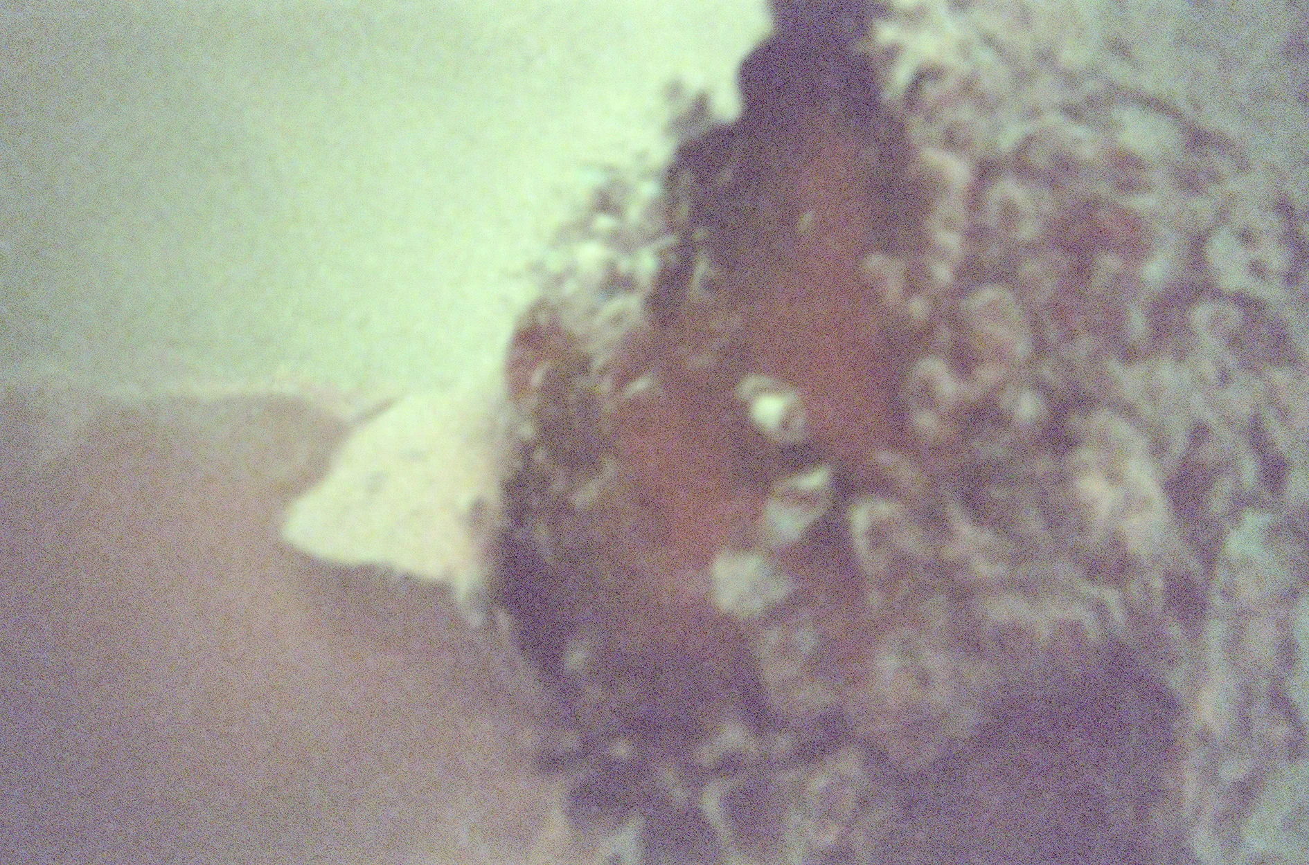 Untitled-5.jpg