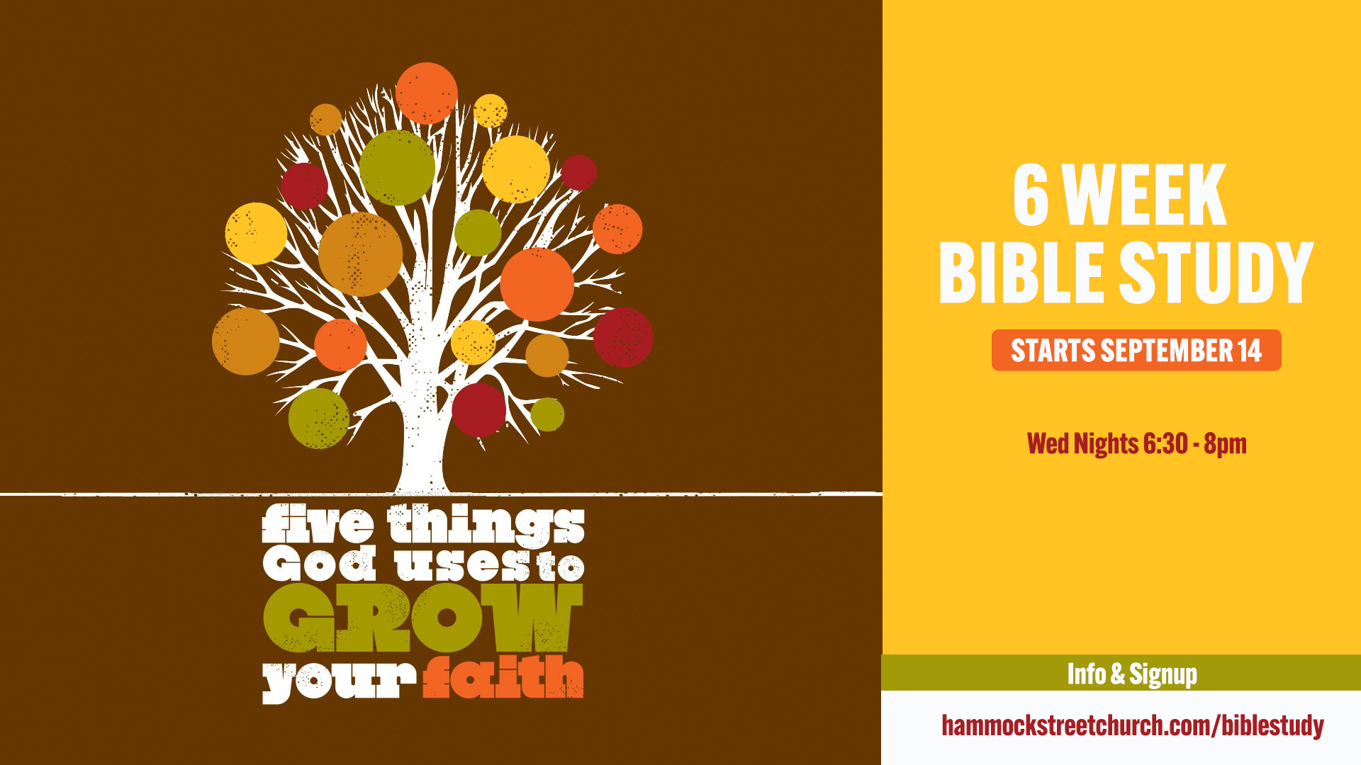 Five Things God Uses to Grow Your Faith Bible Study
