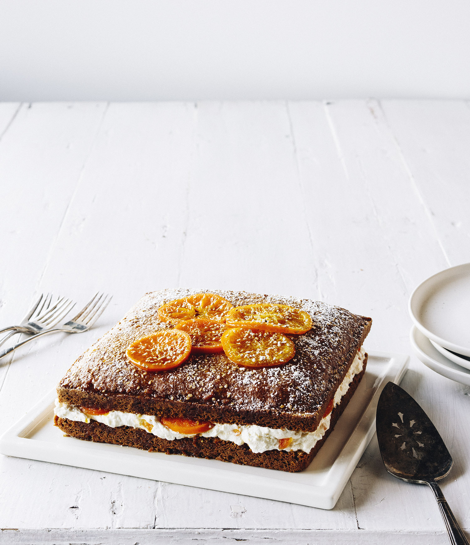 026_Sunset_TangerineCake14560_V1_final.jpg