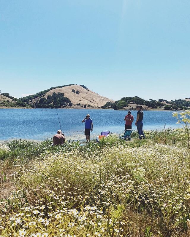 Flowers are good, family is great. Loved this summery day celebrating dad a little early with bikes, fishing, and we even got him to shot gun a beer! 👌🏻