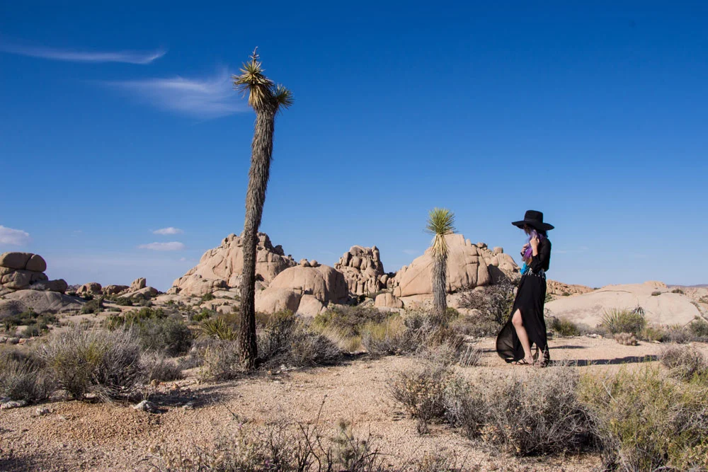 The Stardust Bohemian