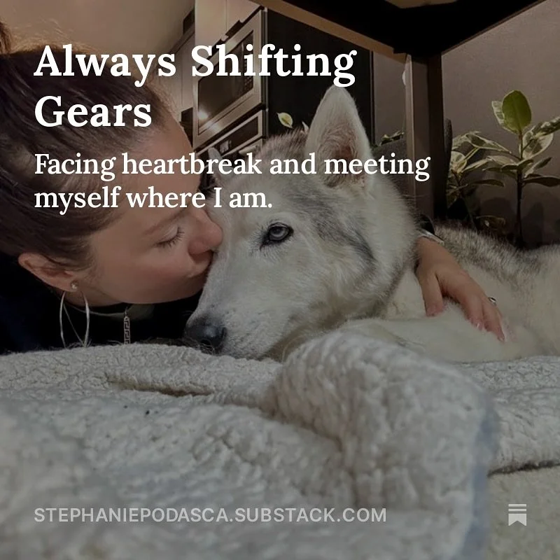&ldquo;Things falling apart is a kind of testing and also a kind of healing. We think that the point is to pass the test or to overcome the problem, but the truth is that things don&rsquo;t really get solved. They come together and they fall apart. T