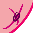 s.png
