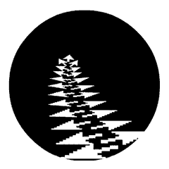 arrow_fern2.gif