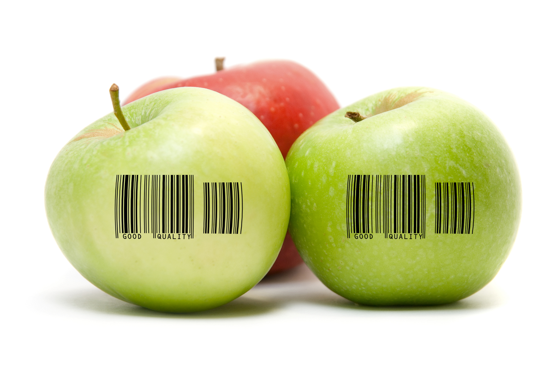 Make sure you are comparing apples with apples, there are lots of options for barcoding, RFID and/or tagging your assets.