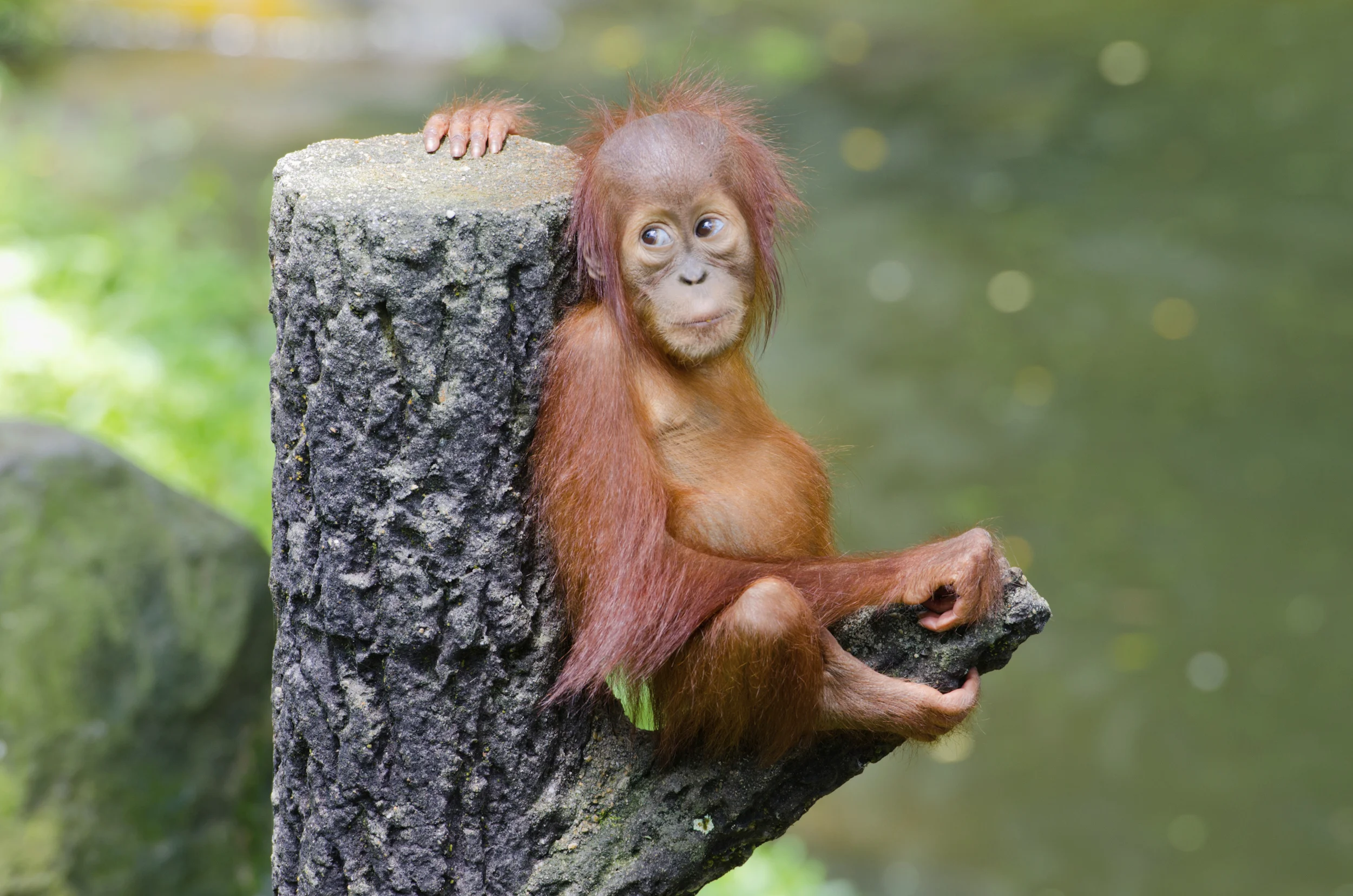 Photo by g-miner/iStock / Getty Images