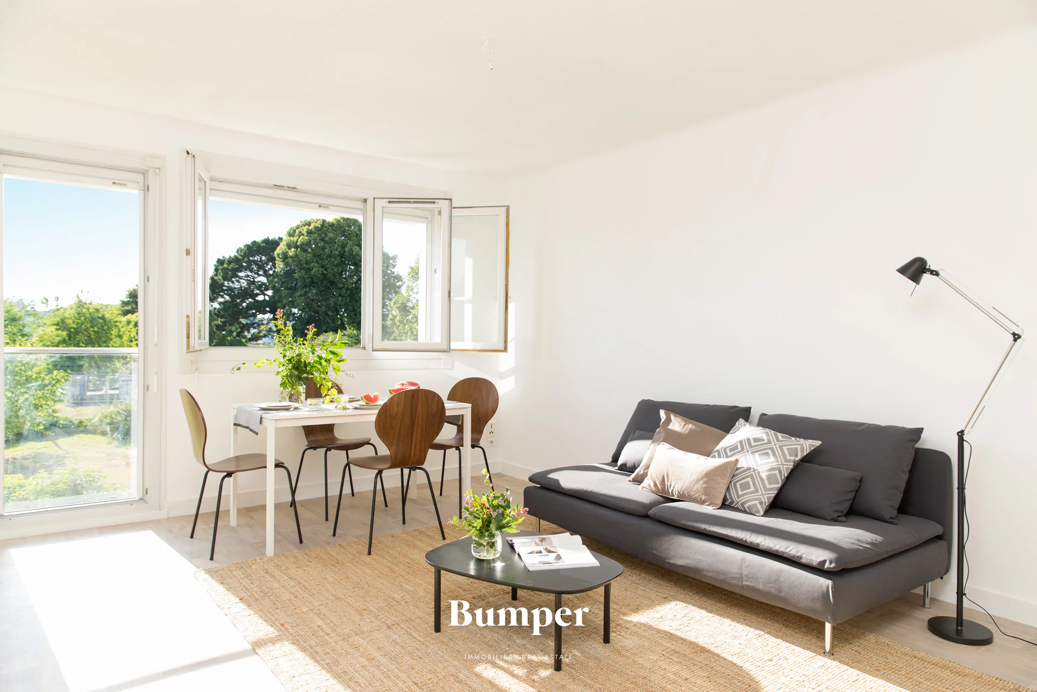 vannes-bumper-france-immobilier-lyon-appartement-avendre-t3salon1.jpg