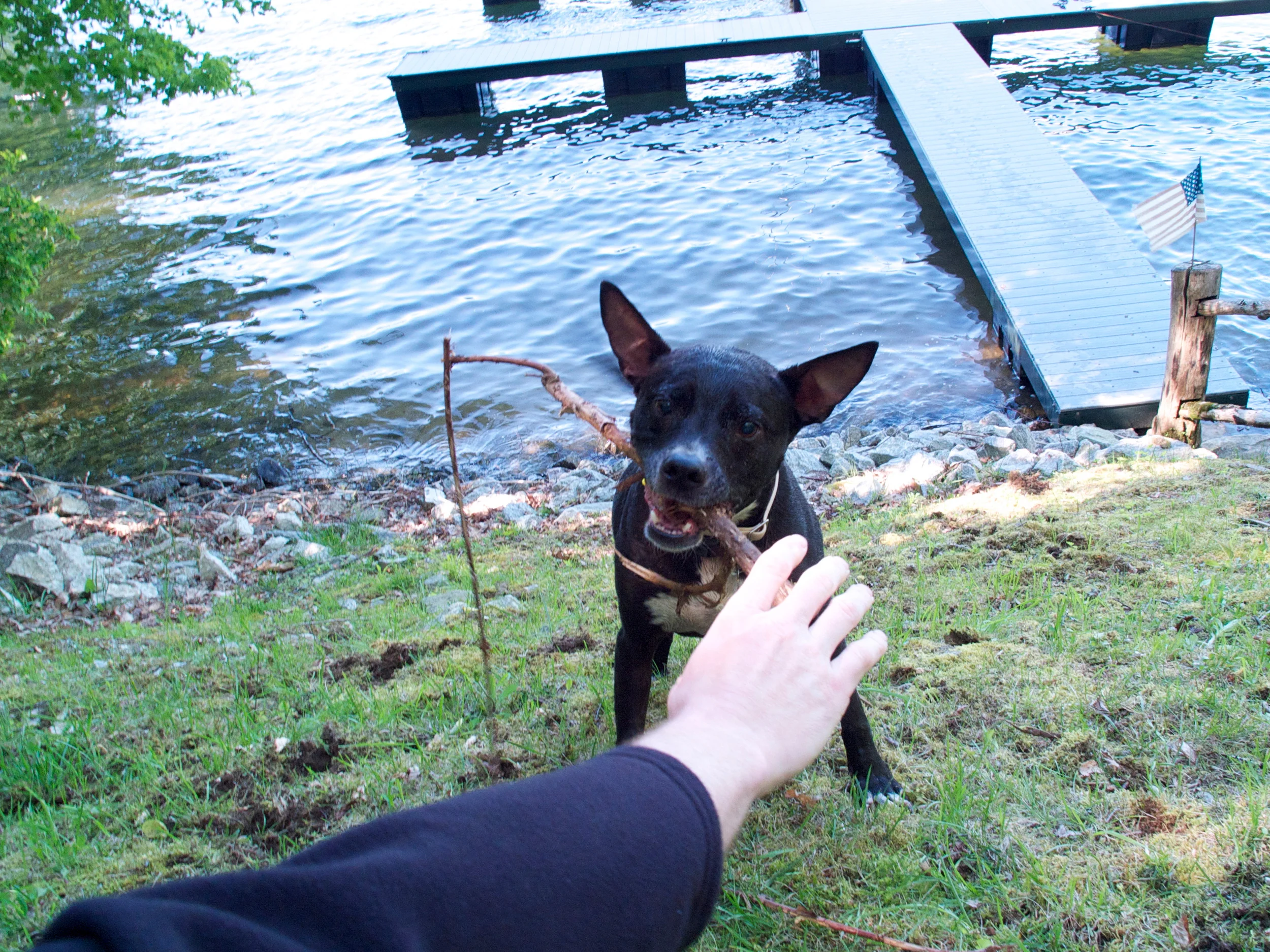 dscf3880.jpg