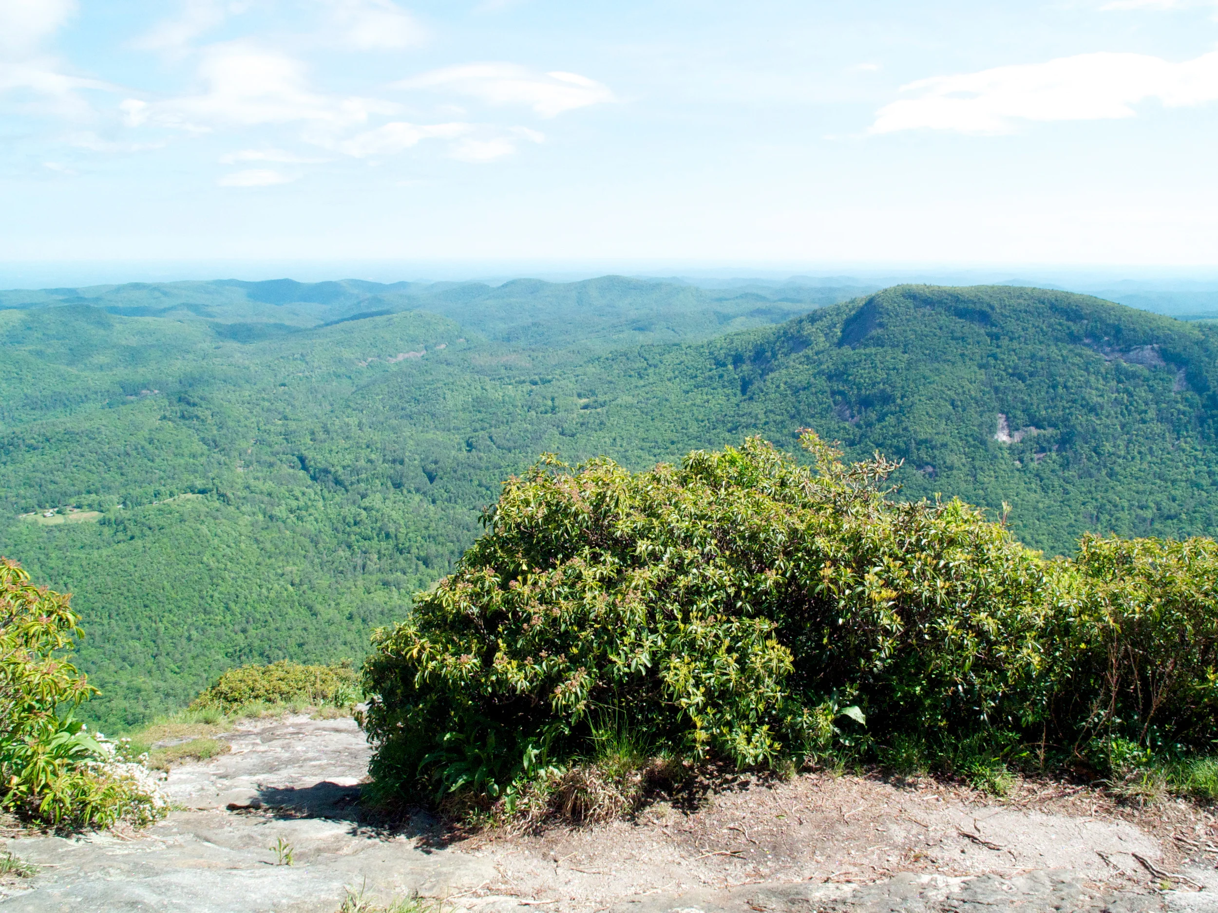 dscf3951.jpg