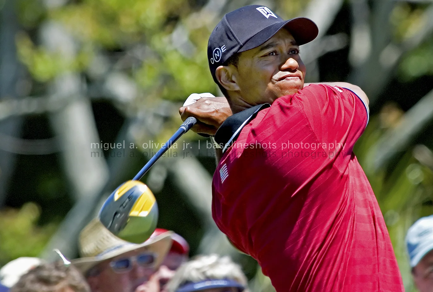 Tiger W.jpg