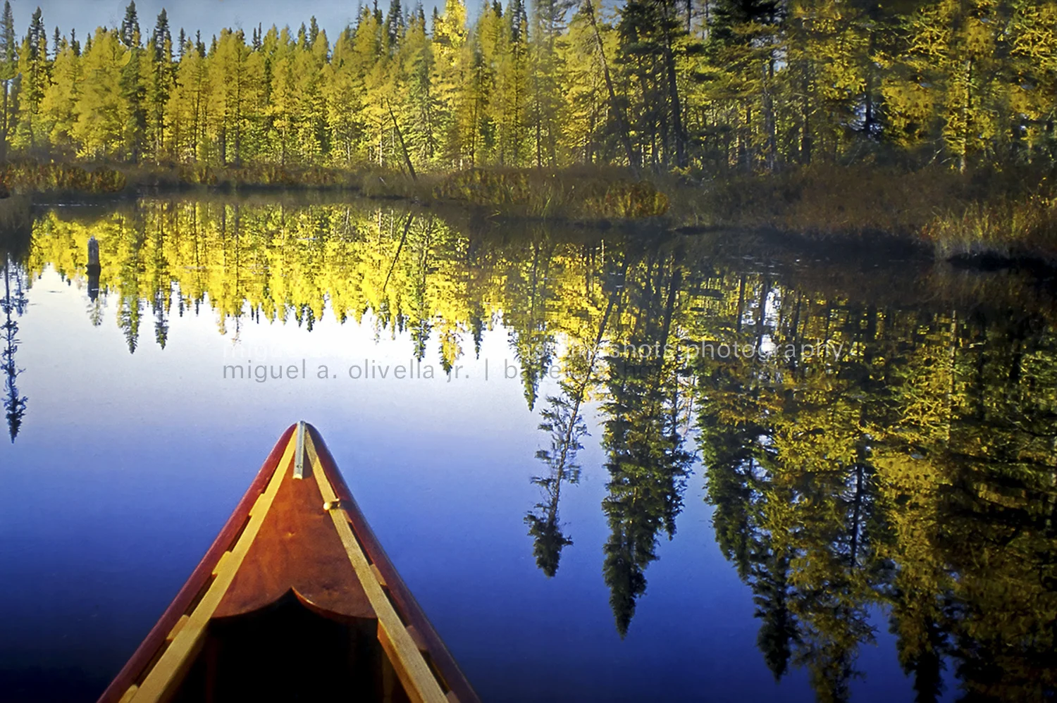 Canoe.jpg