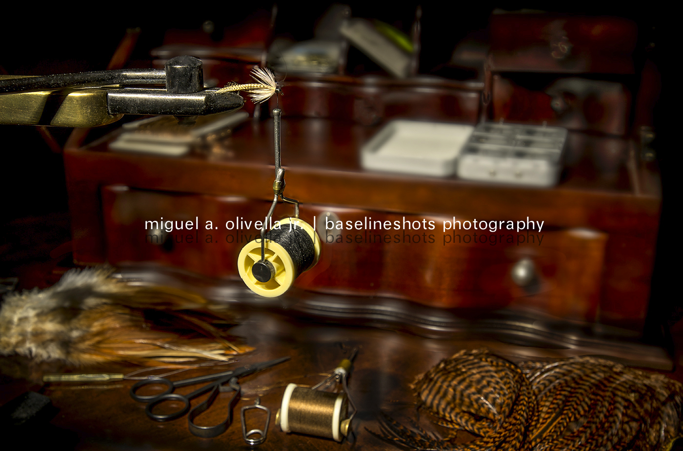 _D600528a_72dpi.jpg