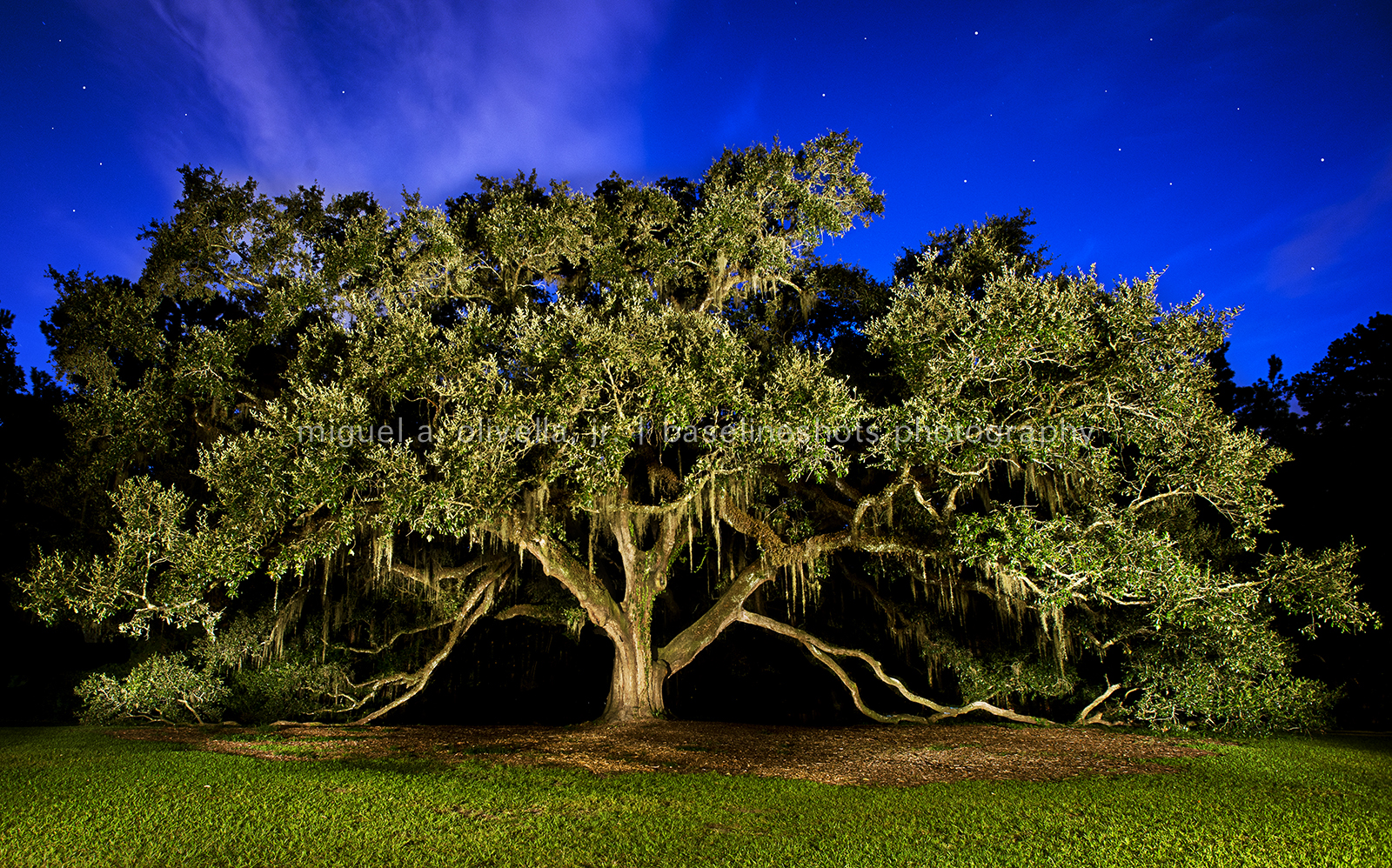 _D600676_Cropped_72dpi.jpg