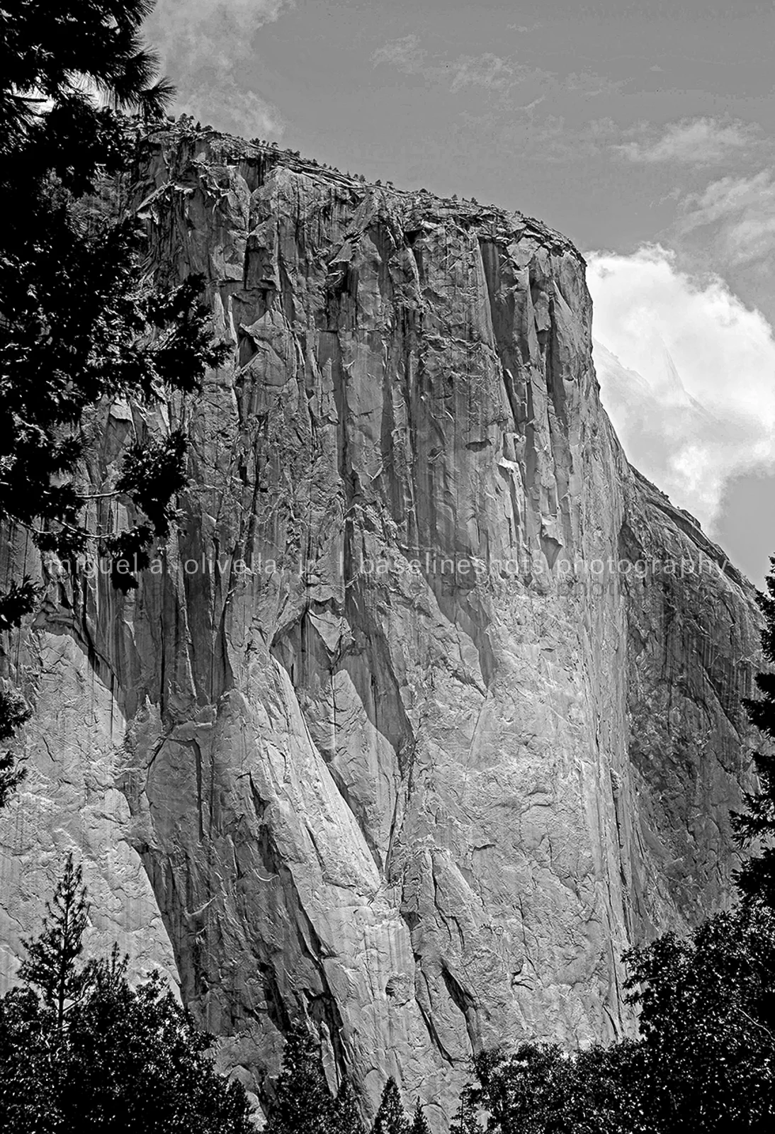 El Capitana.jpg