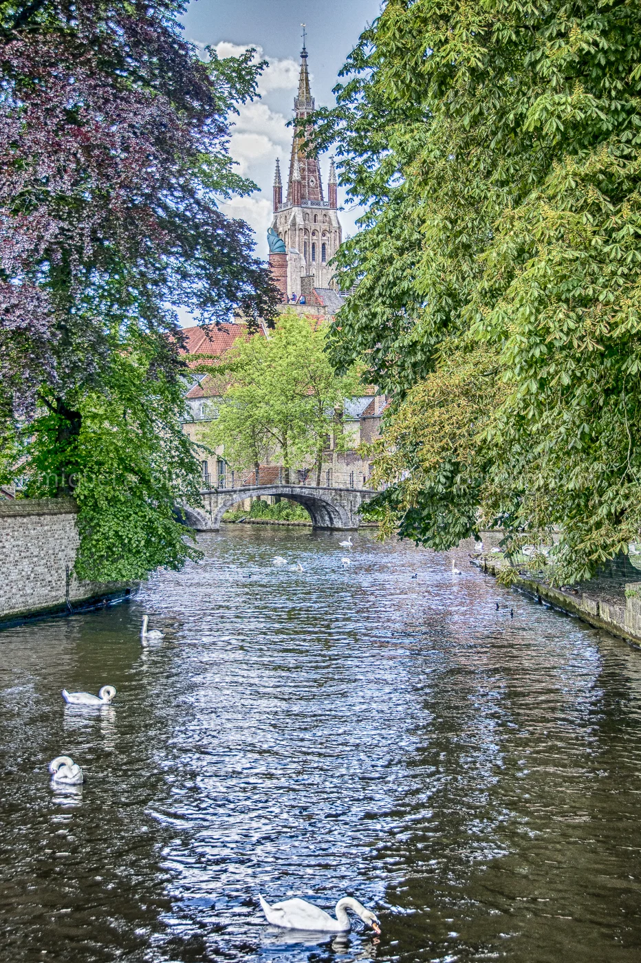 _D603952.jpg
