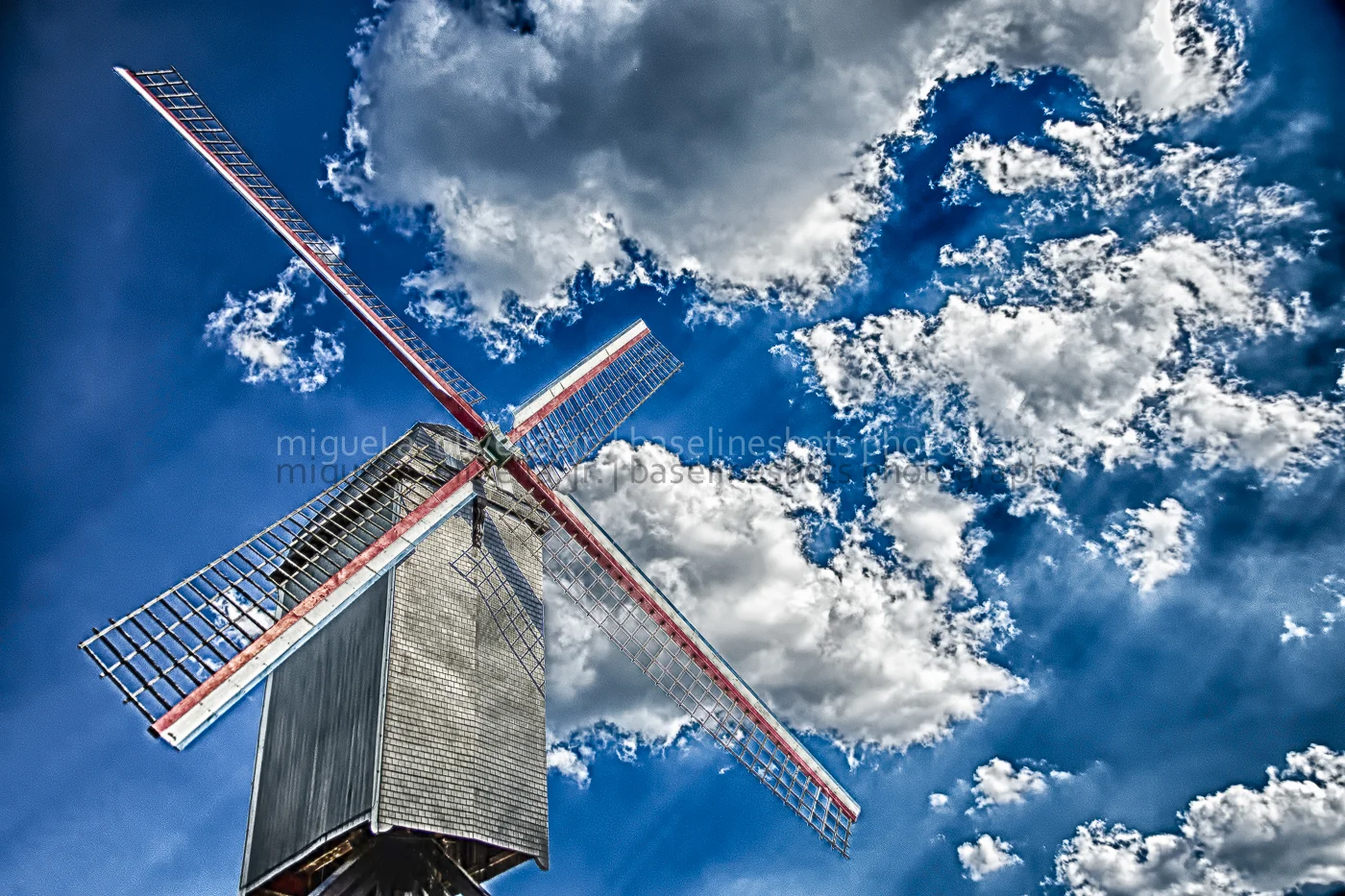_D603963.jpg