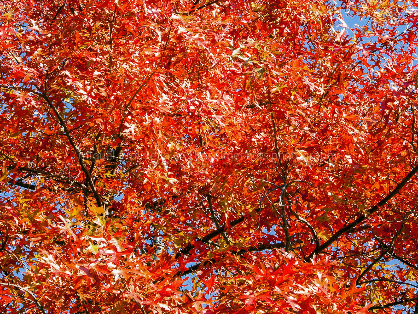 DSCN0127.jpg