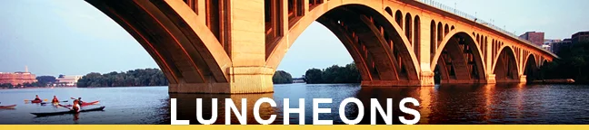 HeaderGraphics3.jpg