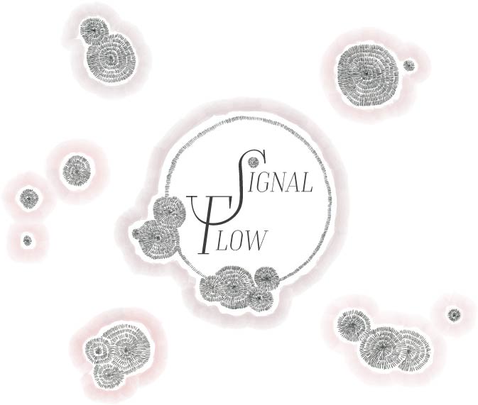 Signal Flow 2018