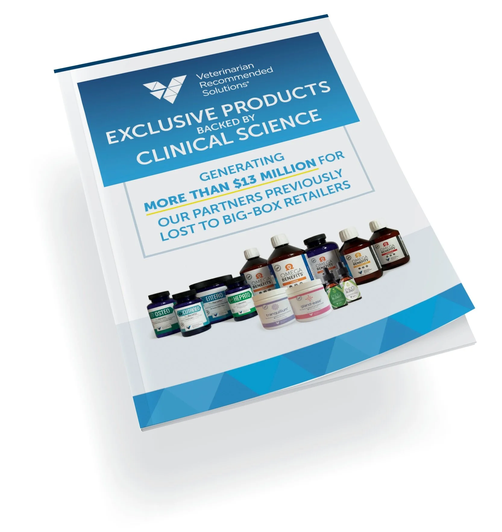 VRS Business Guide Cover