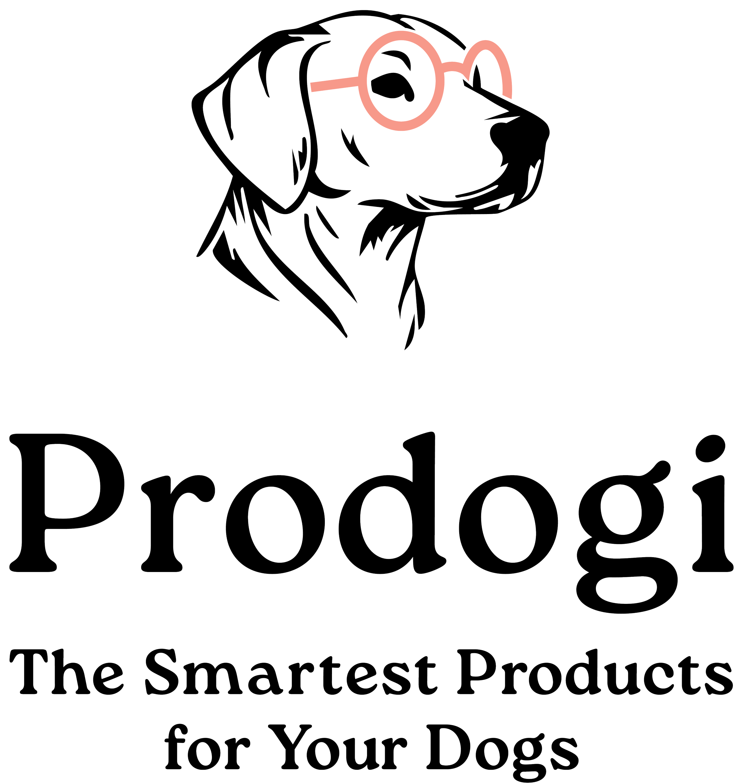 Prodogi_VerticalLogo.png
