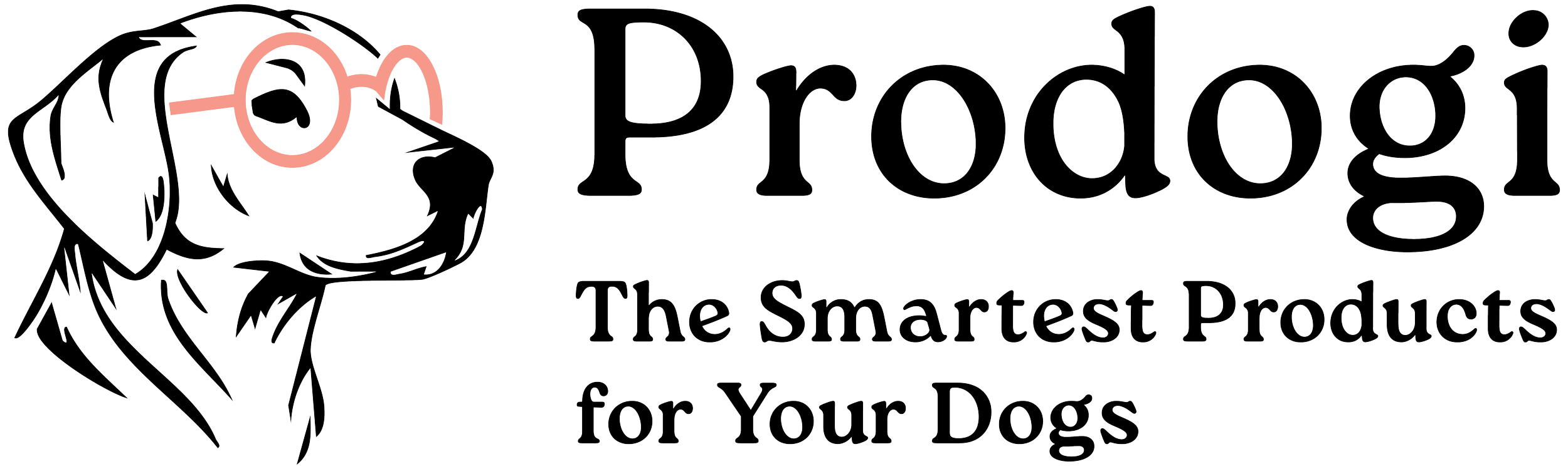 Prodogi_PrimaryLogo_1.png
