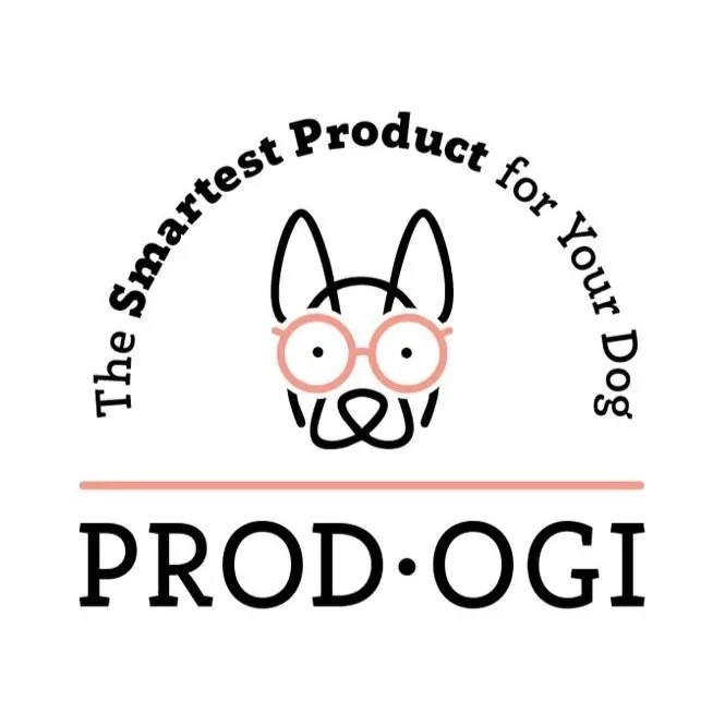 CHD_Prodogi_LogoConcepts_Presentation_2025-10.jpg