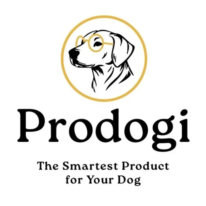 CHD_Prodogi_LogoConcepts_Presentation_2025-10.jpg