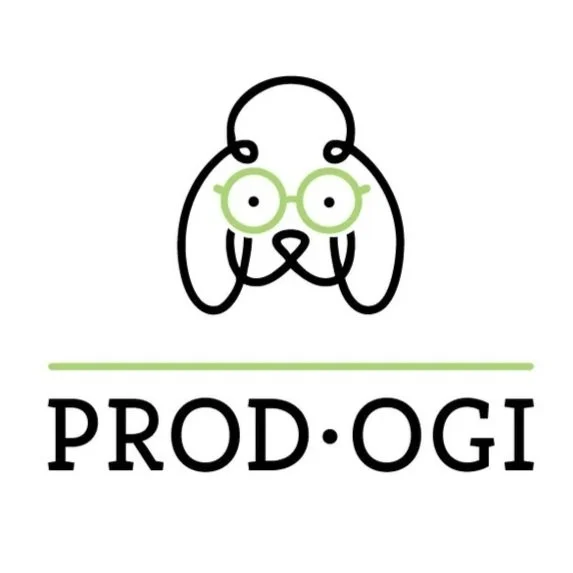 CHD_Prodogi_LogoConcepts_Presentation_2025-05.jpg