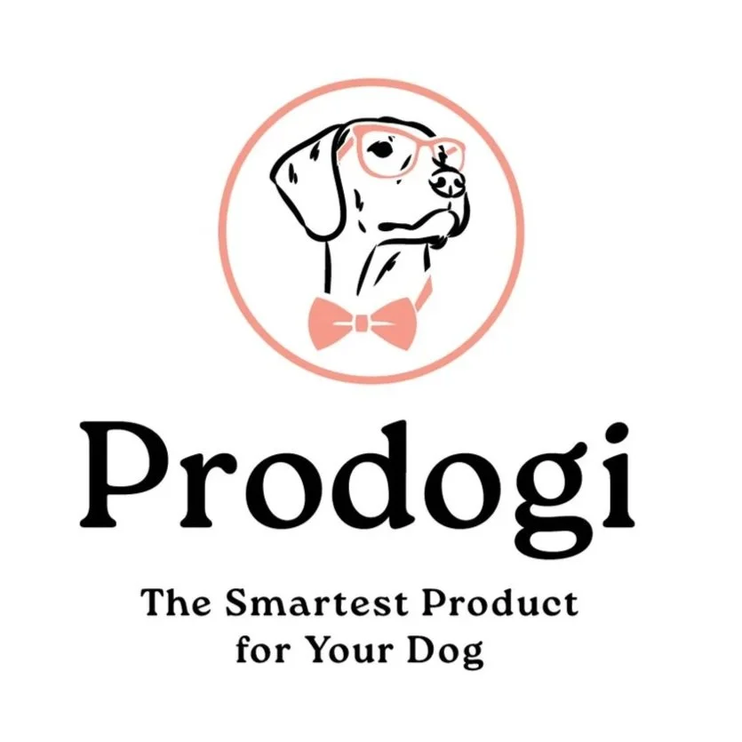 CHD_Prodogi_LogoConcepts_ROUND2_071525-08.jpg