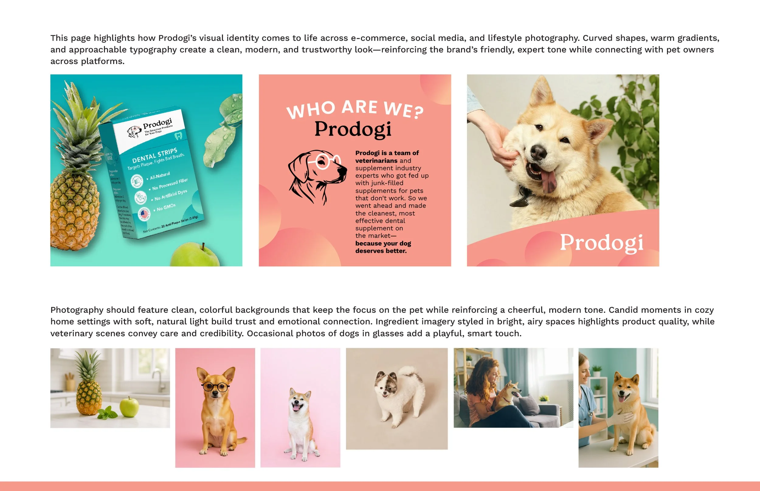 Prodogi_StyleGuide_2025_Imagery.jpg