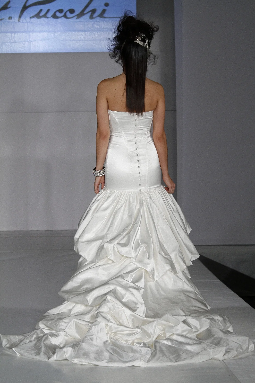 St. Pucchi 9355_back_full.jpg