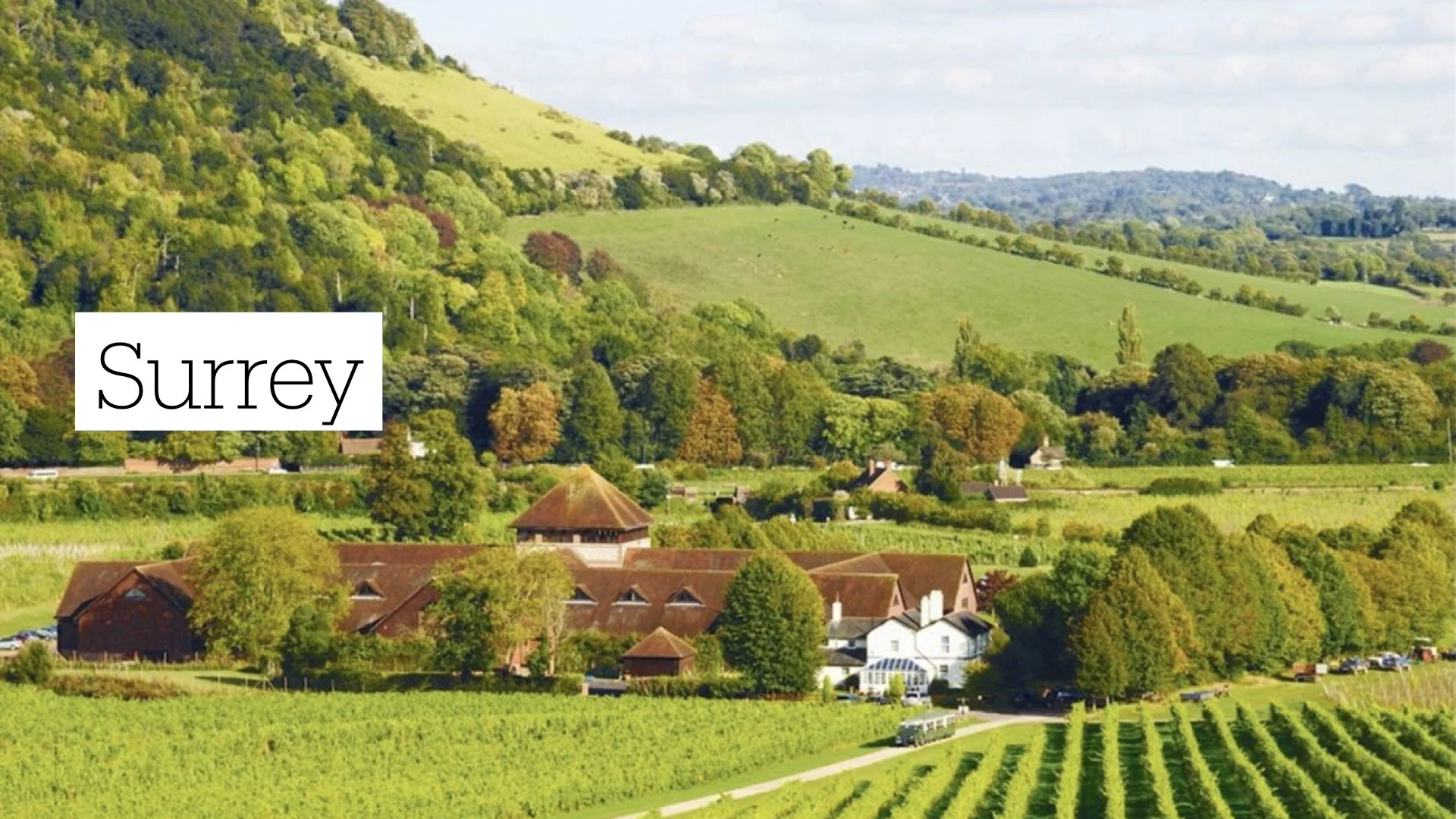 MBST Holidays Surrey.jpeg