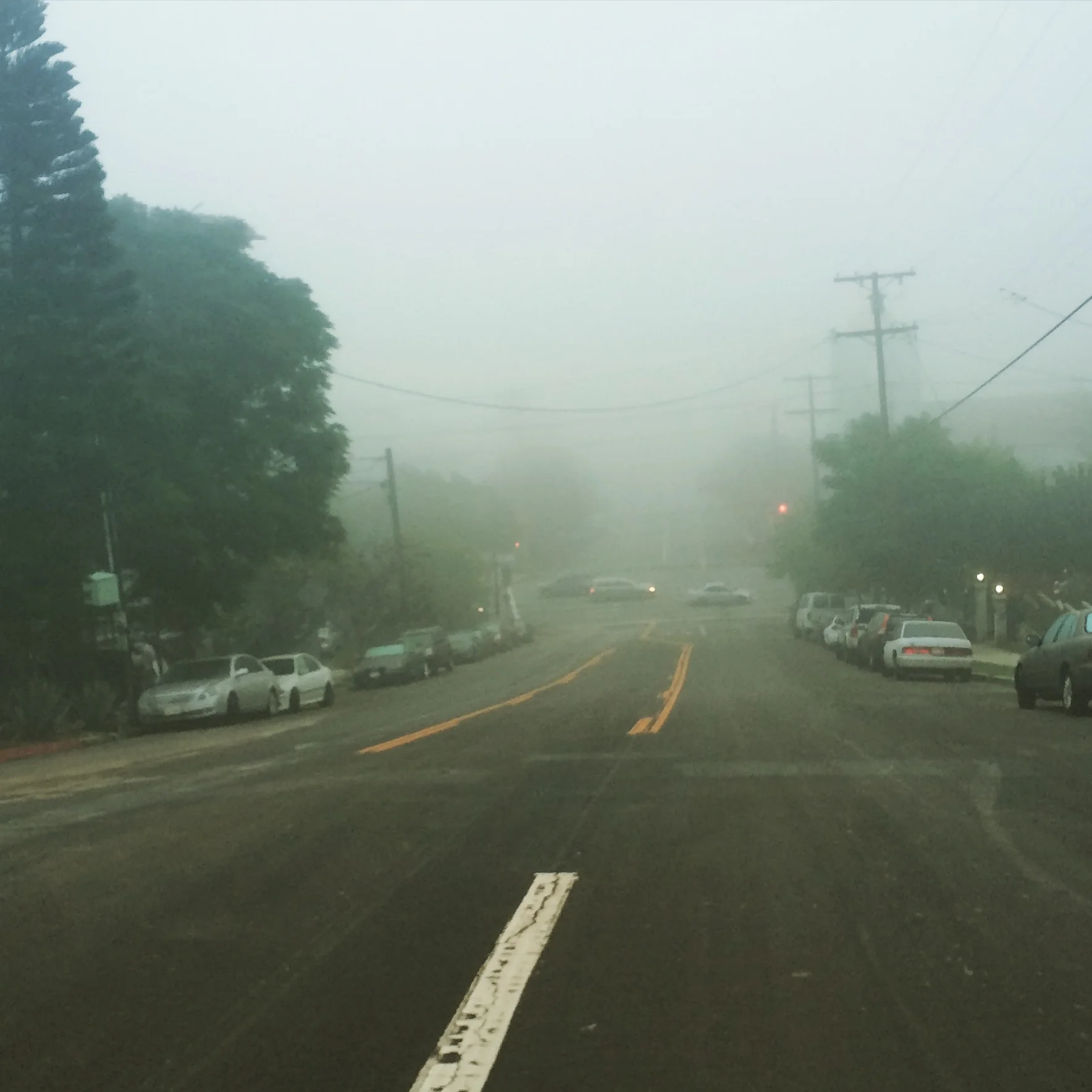 EP Fog