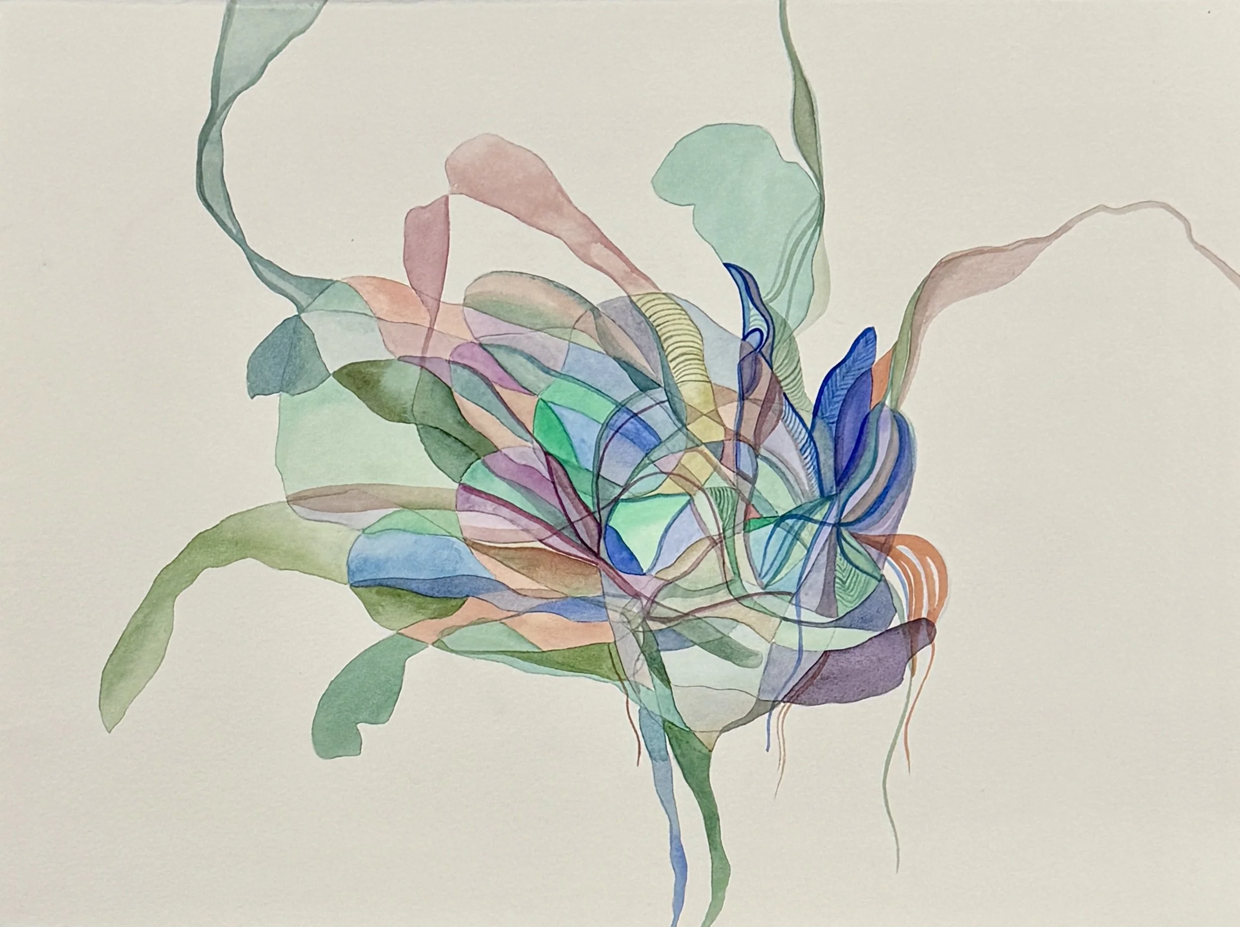 The Light I Inherited 2026.JPG