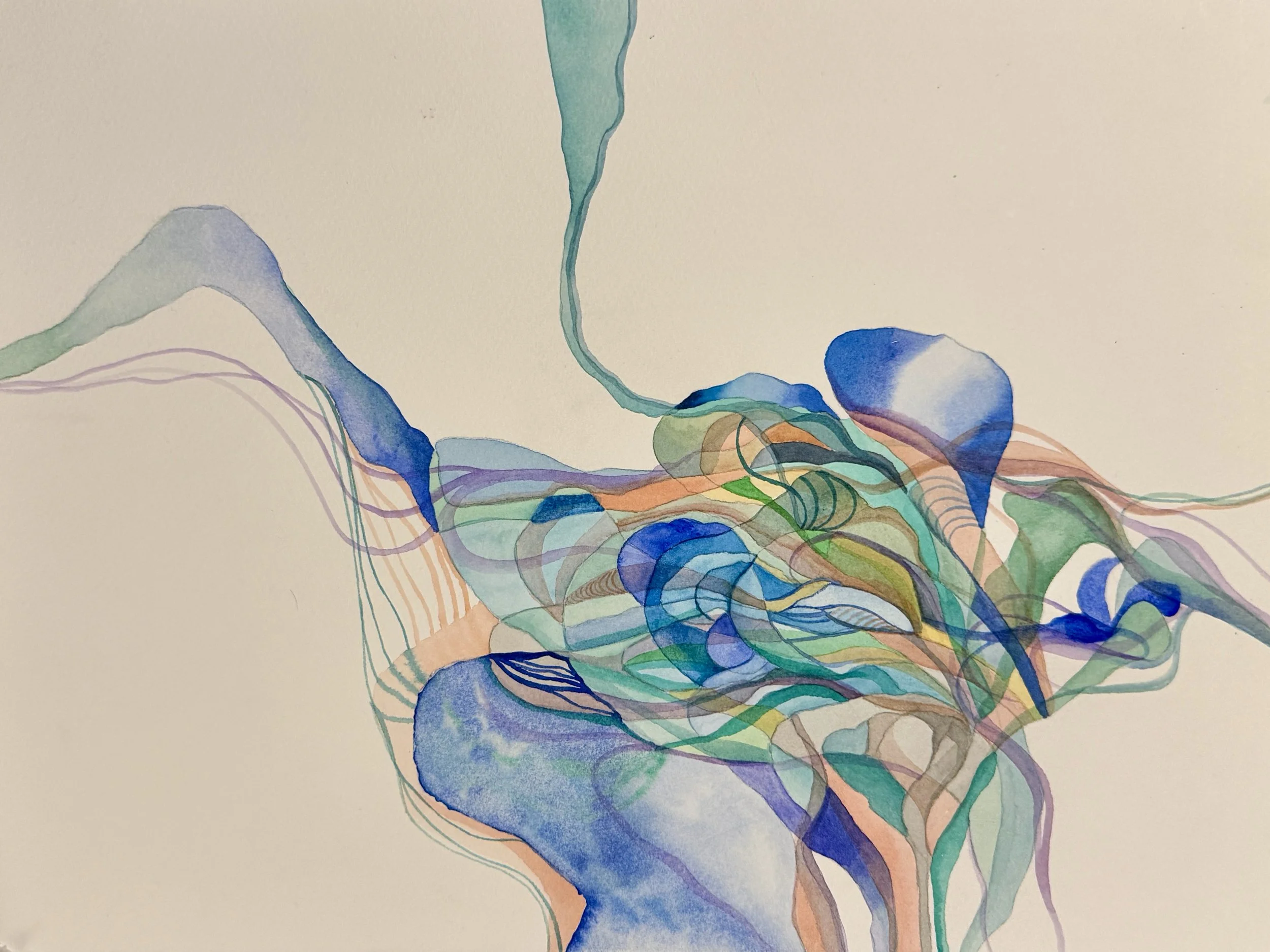 Gathering Light 2026.JPG