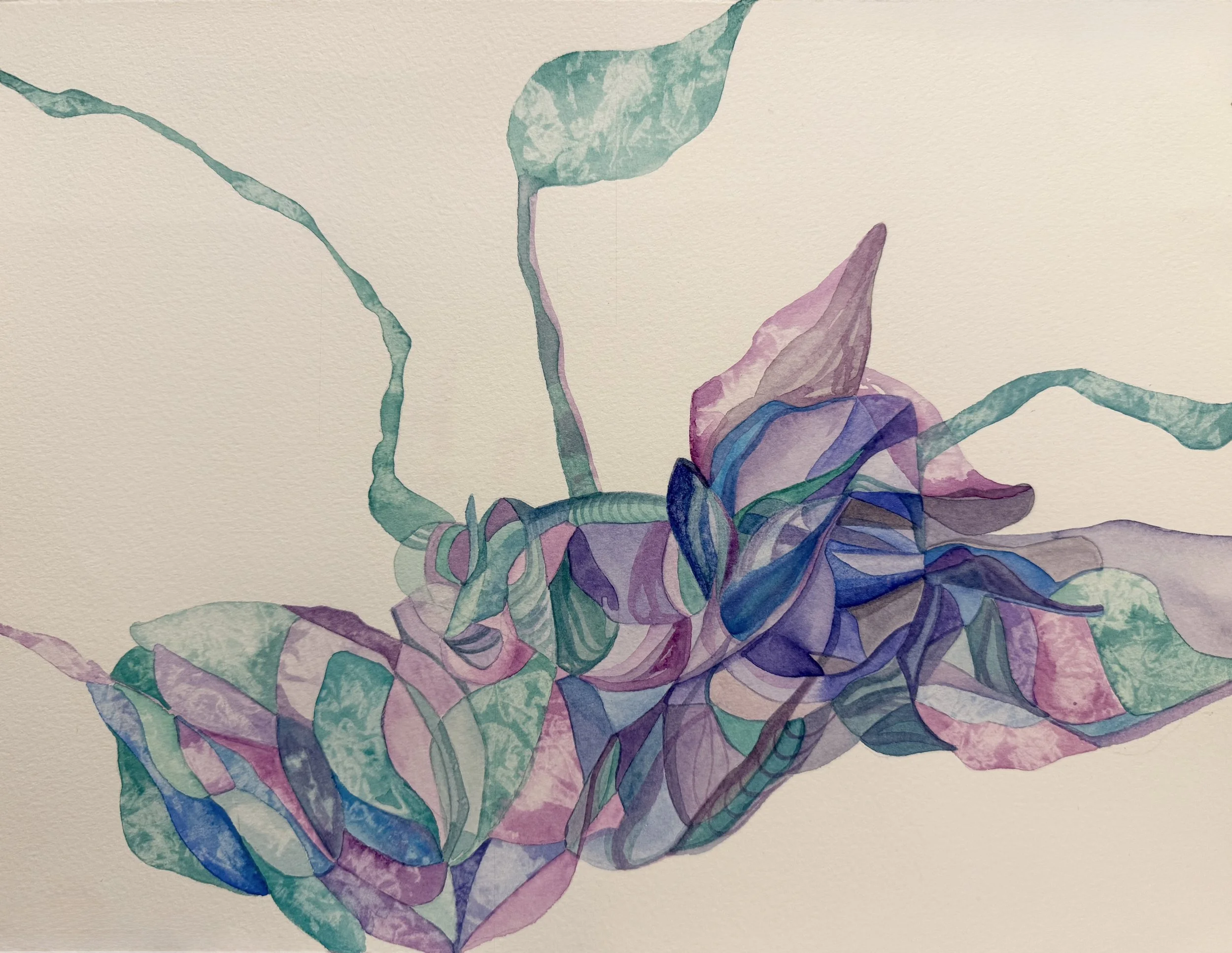 Where Light Gathers 2026.JPG