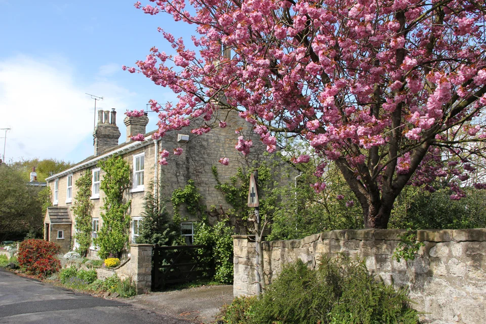 Low Way, Bramham in spring