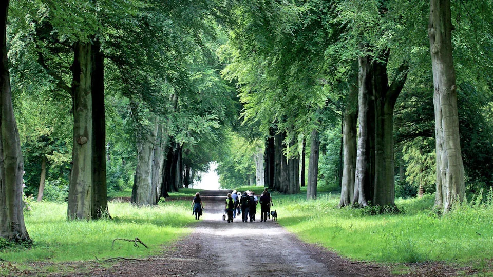 Walking in Bramham Park