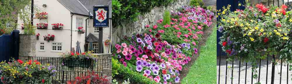 Image: The Red Lion Pub by Bramham in Bloom