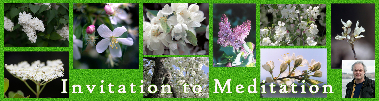Invitation to Meditation