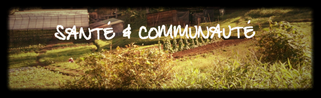 Santé & communauté : novembre 2015