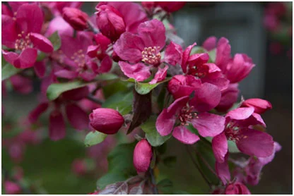 Health & Community : February 2016 / Bread and love